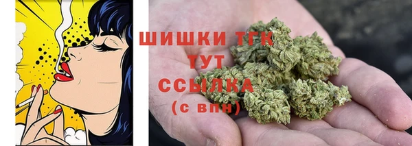 спайс Мегион