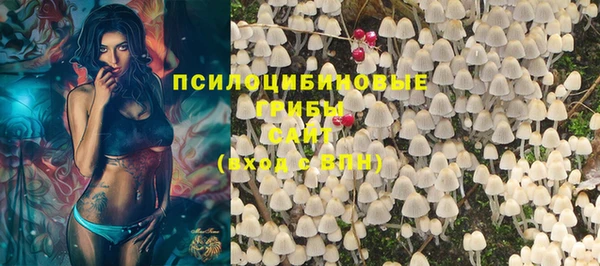 спайс Мегион