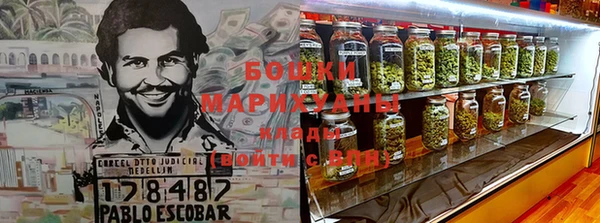 молекула духа Медногорск