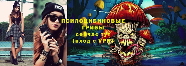 стафф Медвежьегорск
