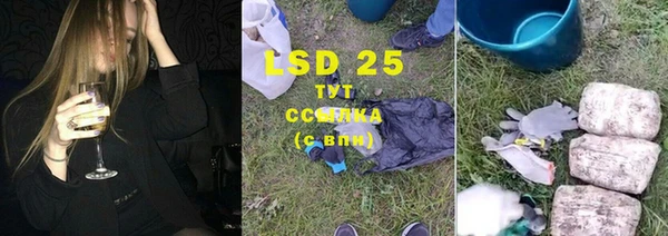 стафф Медвежьегорск