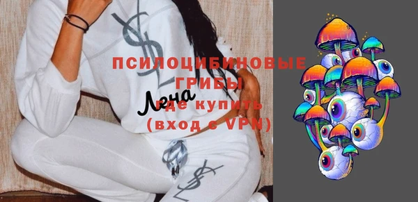 стафф Медвежьегорск