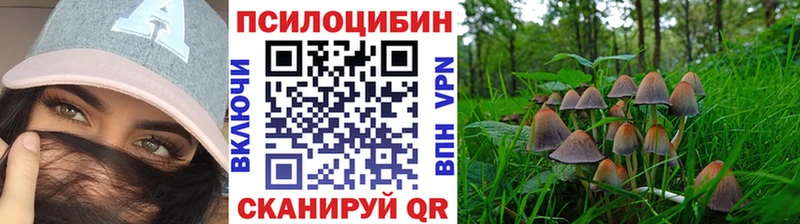 Купить закладки  Черногорск  Галлюциногенные грибы прущие грибы 