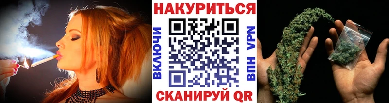 Купить закладки  Черногорск  Бошки марихуана сатива 